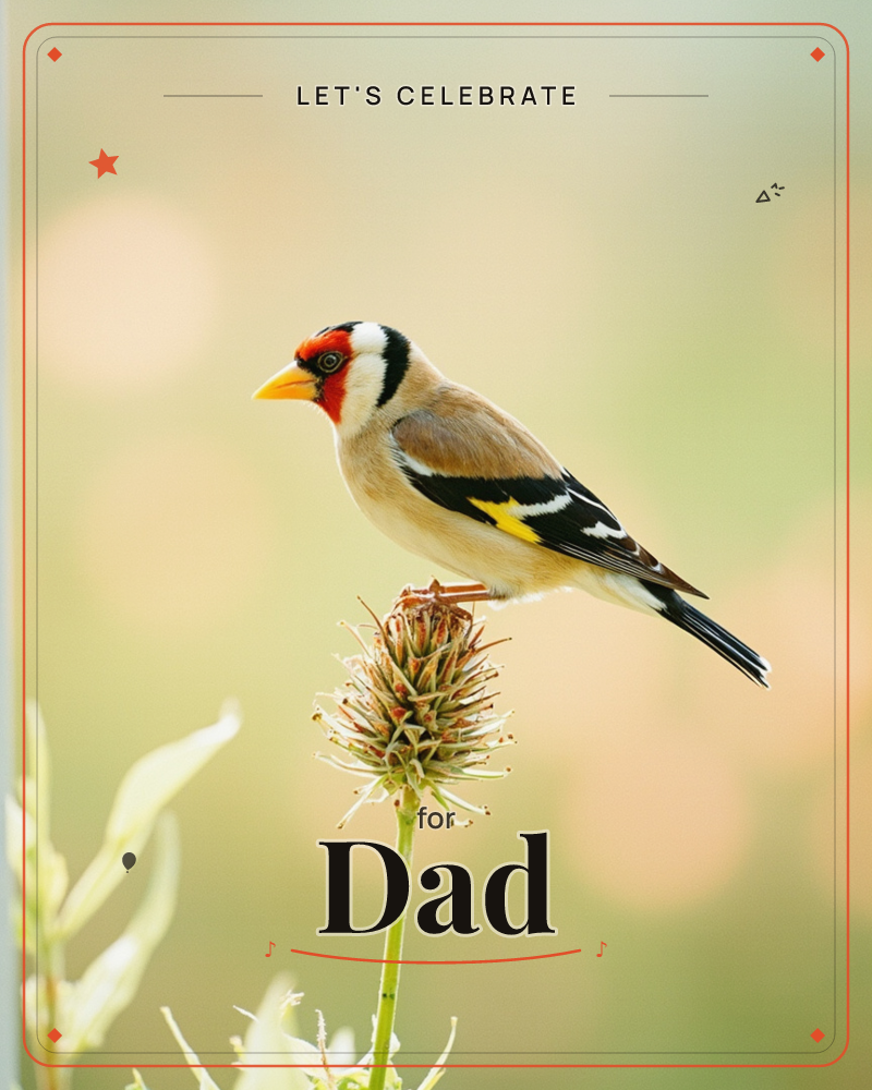 A European goldfinch perches lightly on a spiky seed head, its red face and gold-barred black wings sharp against a softly blurred green and cream…, a party e-card design