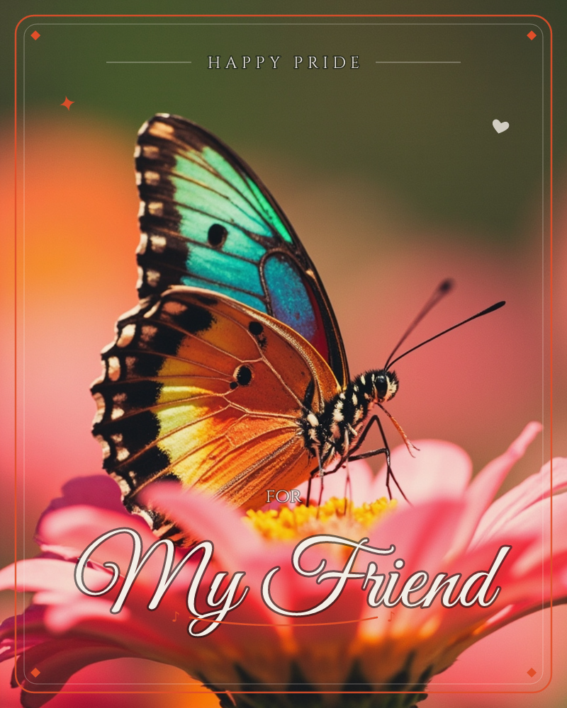 A close-up photograph of a butterfly perched on a pink zinnia, its wings held upright to show off two different faces, one edged in turquoise and…, a pride e-card design
