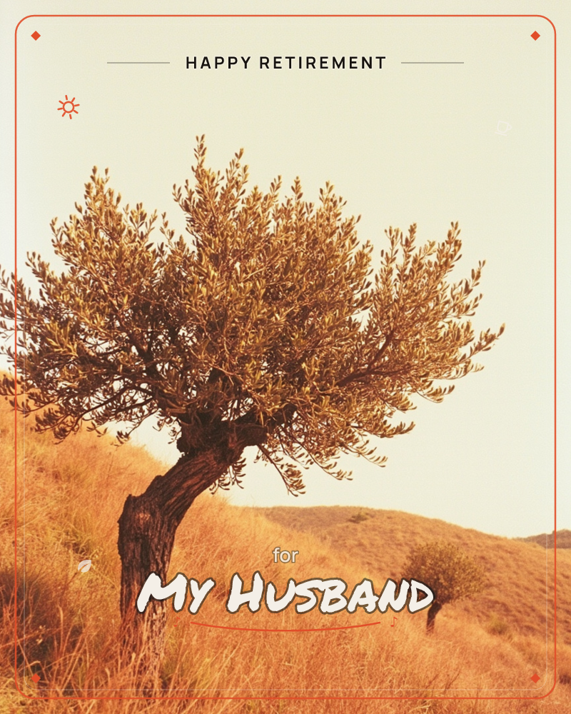 A gnarled olive tree leans out of a sun-baked hillside, its silvery leaves catching a warm golden light against a pale, hazy sky, a retirement e-card design