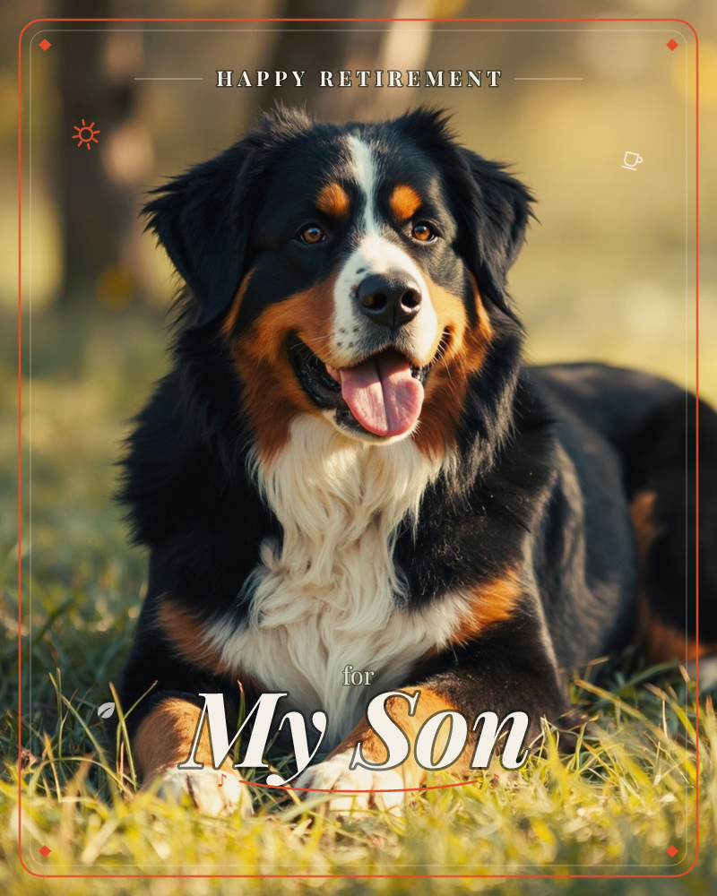 A Bernese Mountain Dog lies in golden-lit grass, tongue out and paws stretched forward, with soft trees blurred behind it, a retirement e-card design