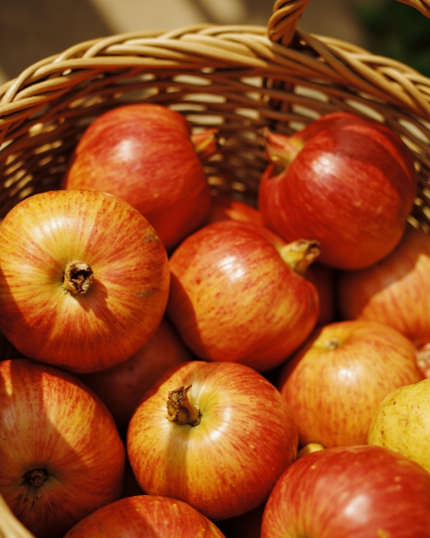 Rosh hashanah e-card design