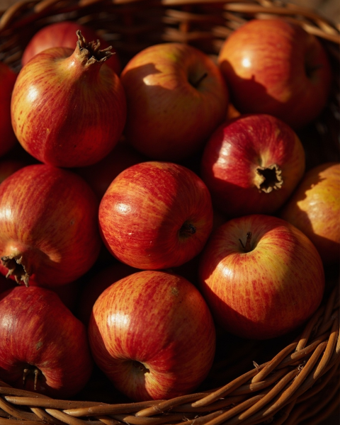 Rosh hashanah e-card design