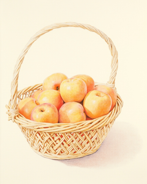 Rosh hashanah e-card design