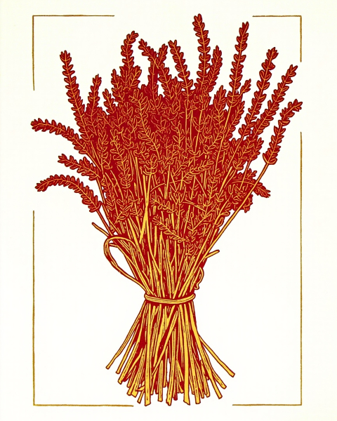 Rosh hashanah e-card design