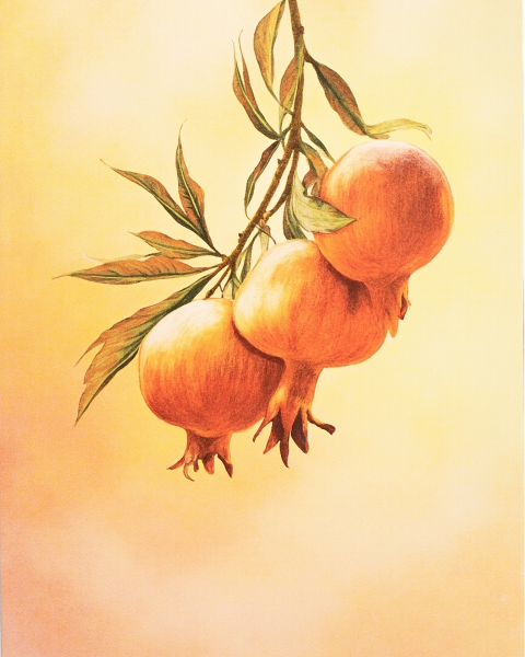 Rosh hashanah e-card design