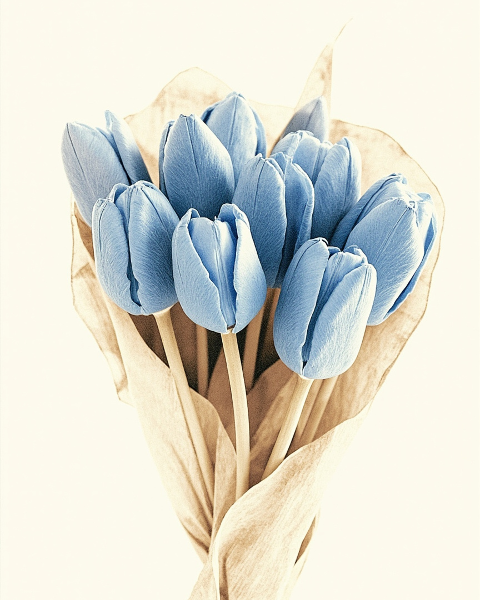 Sorry e-card design