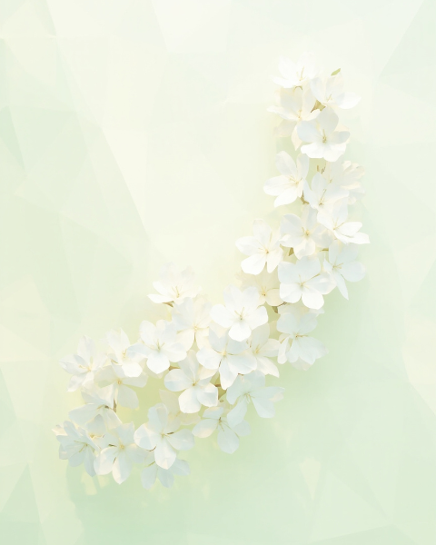 Sympathy e-card design