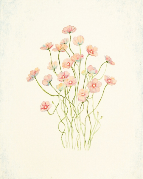 Sympathy e-card design