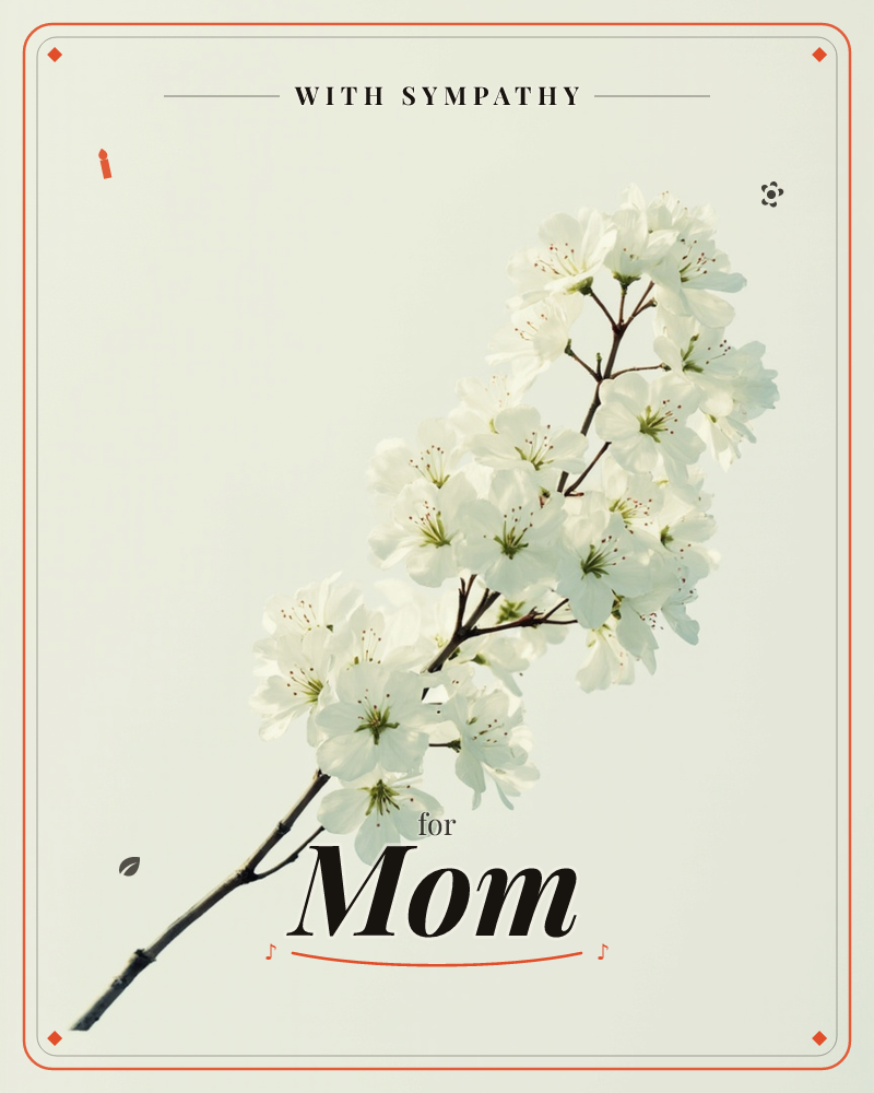 A single sprig of white cherry blossom stretches diagonally across a pale, almost sage-tinted background, its slender dark branch studded with…, a sympathy e-card design