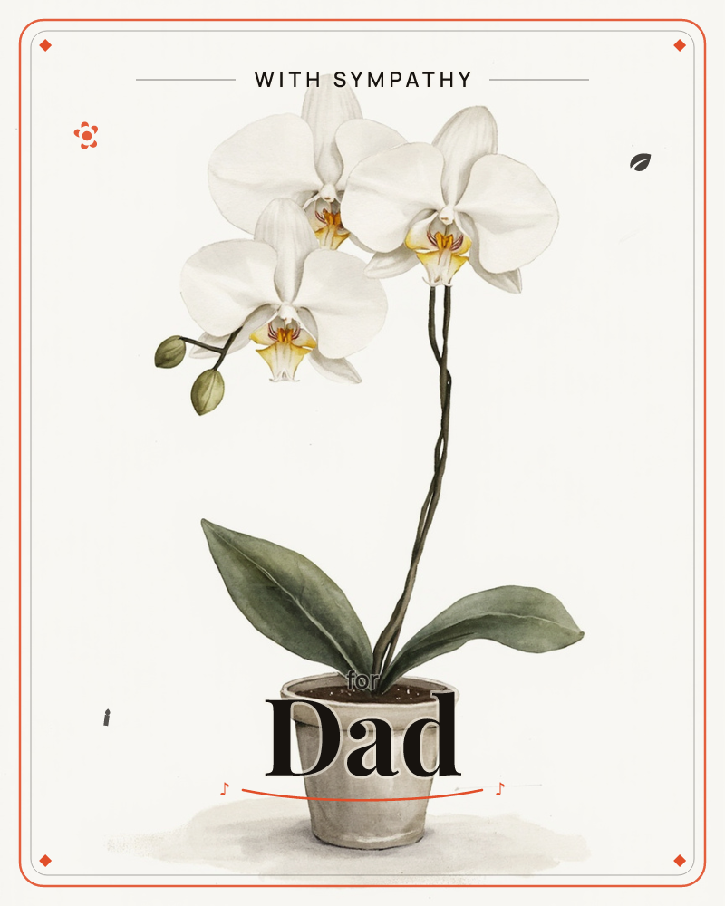 A potted white phalaenopsis orchid stands against a plain cream background, its arching stem carrying four open blooms with yellow-flushed centres and…, a sympathy e-card design