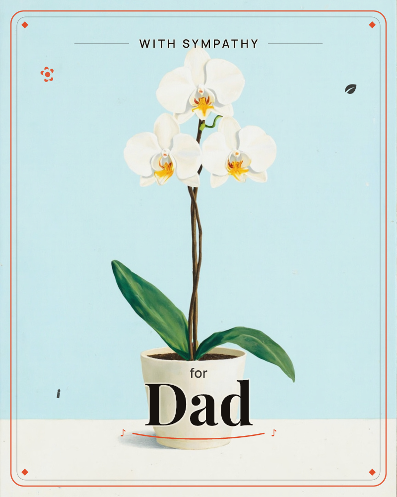 A potted white orchid stands centred against a soft blue-grey backdrop, its three open blooms curving gently along a slender stem with yellow-throated…, a sympathy e-card design