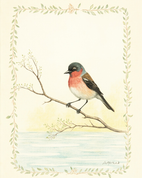 Sympathy e-card design
