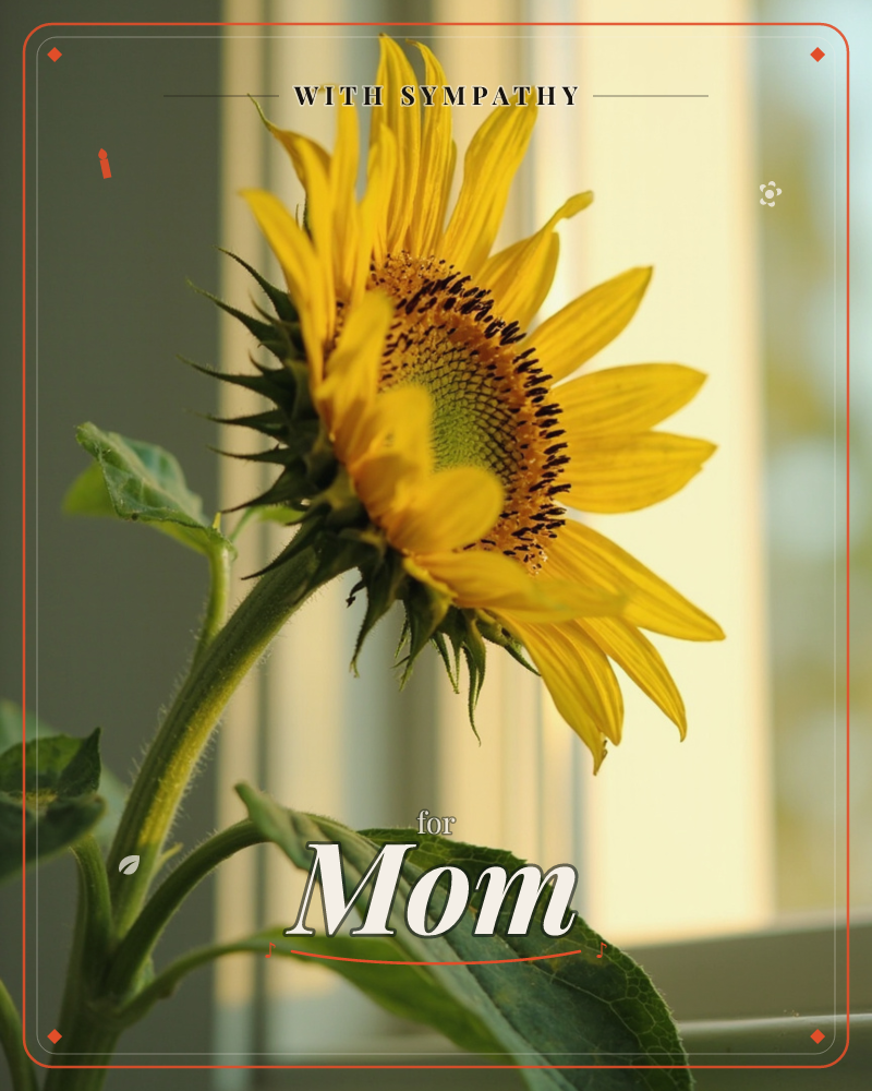 A single sunflower leans toward a windowsill, its yellow petals catching warm late-afternoon light streaming through the glass, a sympathy e-card design