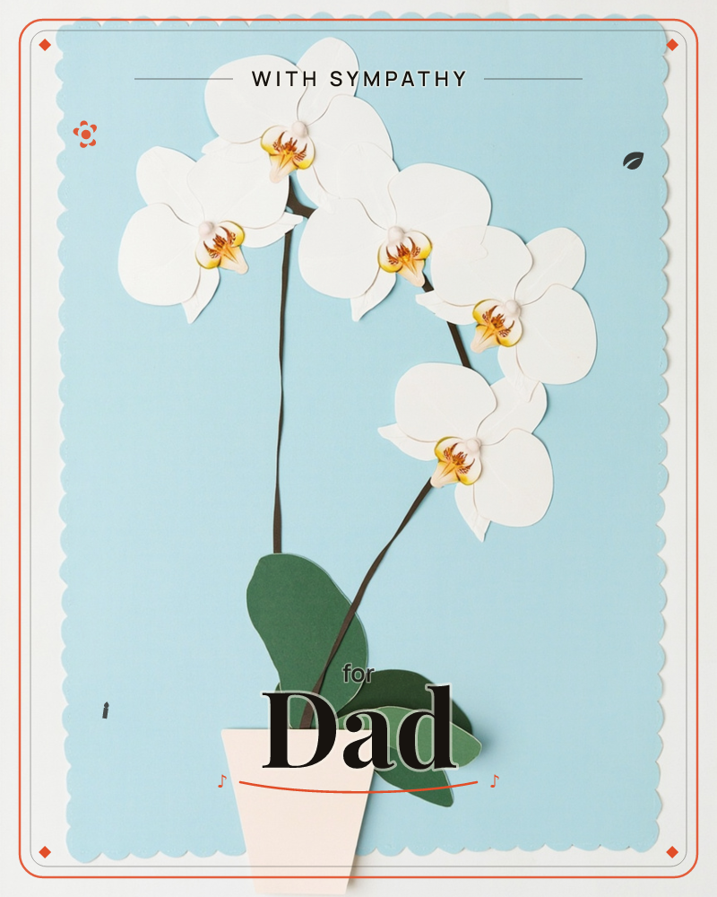 A potted white orchid stands against a pale sky-blue backdrop, its two arching stems dotted with layered paper blooms tipped in soft yellow and maroon…, a sympathy e-card design