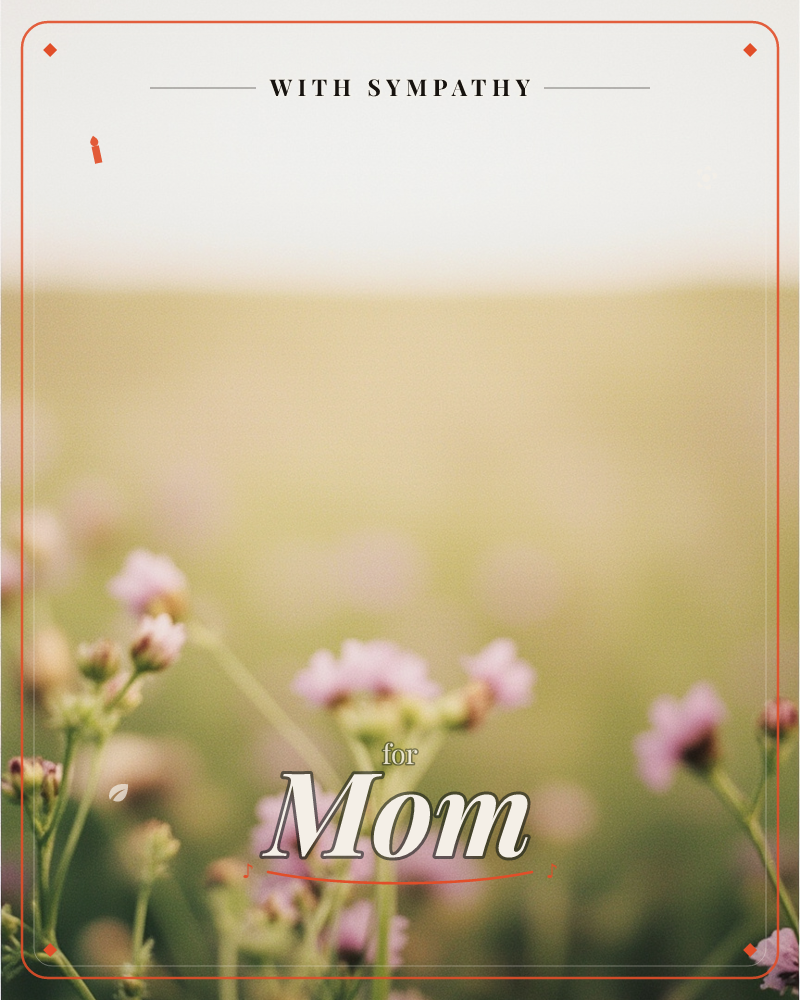 A close-up photograph of small pink wildflowers on slender green stems, sharp in the foreground while a meadow dissolves into soft golden-green blur…, a sympathy e-card design