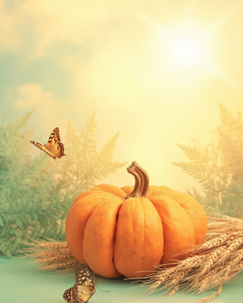 Thanksgiving e-card design