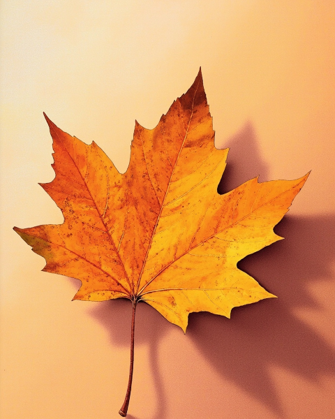 Thanksgiving e-card design