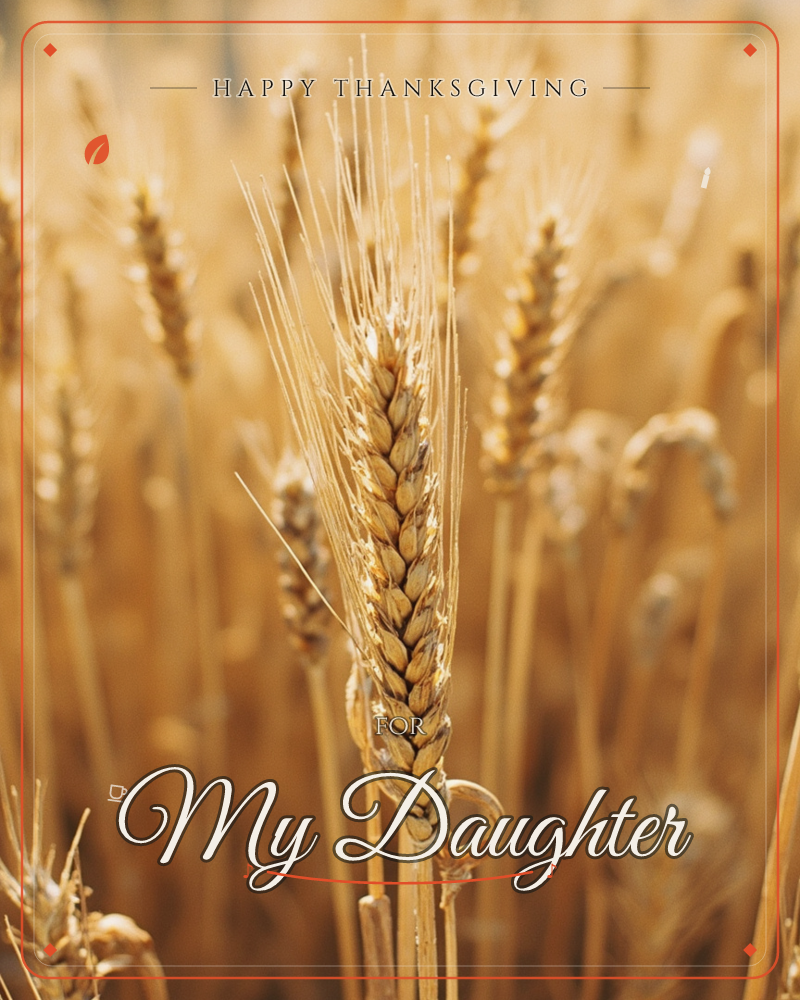 A close-up photograph of a ripe wheat field, sunlight catching the golden husks and fine bristled awns of a single stalk in sharp focus, a thanksgiving e-card design