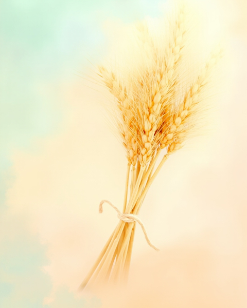 Thanksgiving e-card design