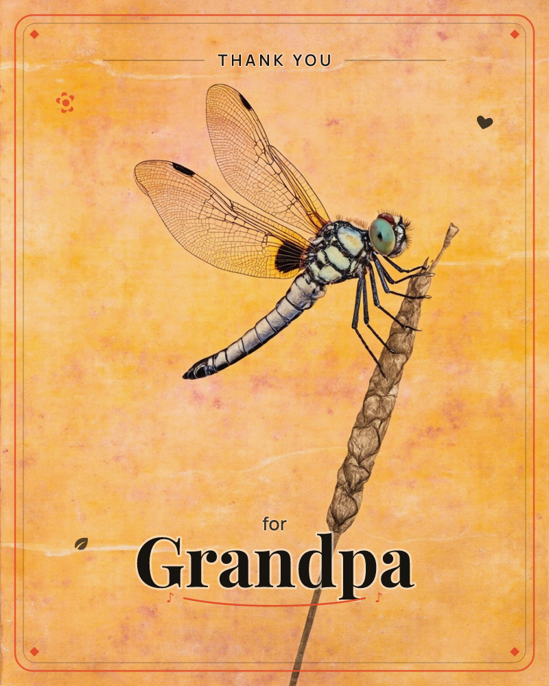 A dragonfly with pale blue-grey body and finely veined wings perches on a dried, bristled seed head, rendered in careful naturalist detail, a thankyou e-card design