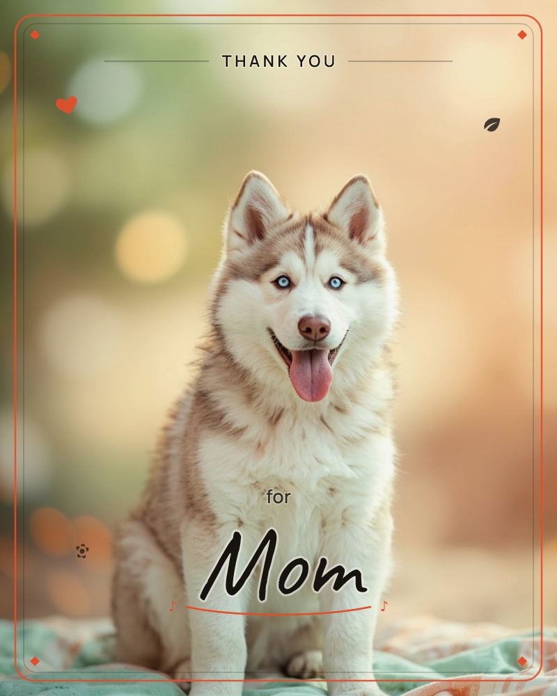 A husky with pale blue eyes sits upright on a plaid blanket, mouth open in a happy pant, against a softly blurred golden and green outdoor backdrop, a thankyou e-card design