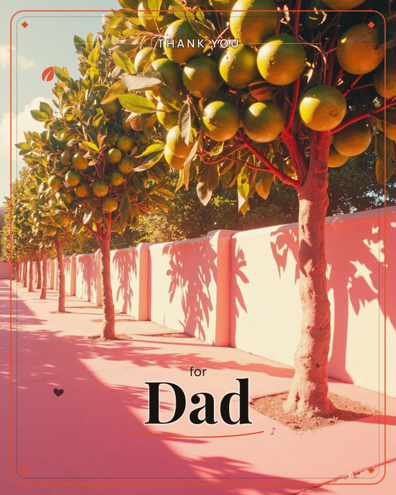 A row of citrus trees heavy with green-gold fruit lines a pale pink sidewalk and matching wall, their shadows stretching in dappled patterns across the…, a thankyou e-card design
