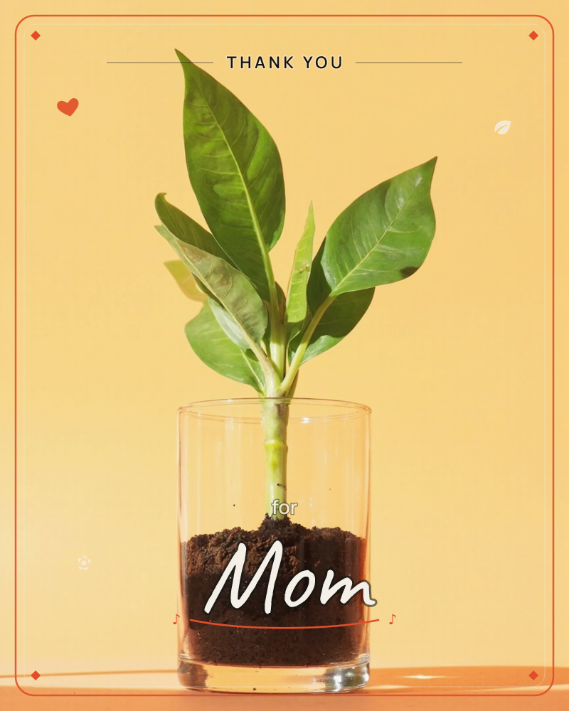 A single leafy cutting stands rooted in dark soil inside a plain glass tumbler, set against a warm golden-orange background, a thankyou e-card design