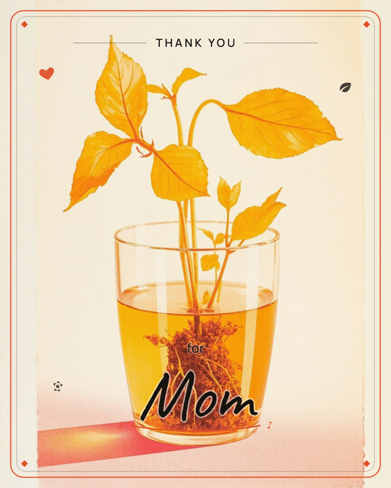 A single leafy cutting stands rooted in a clear glass filled with amber liquid, its tangle of fine roots visible beneath the surface, a thankyou e-card design