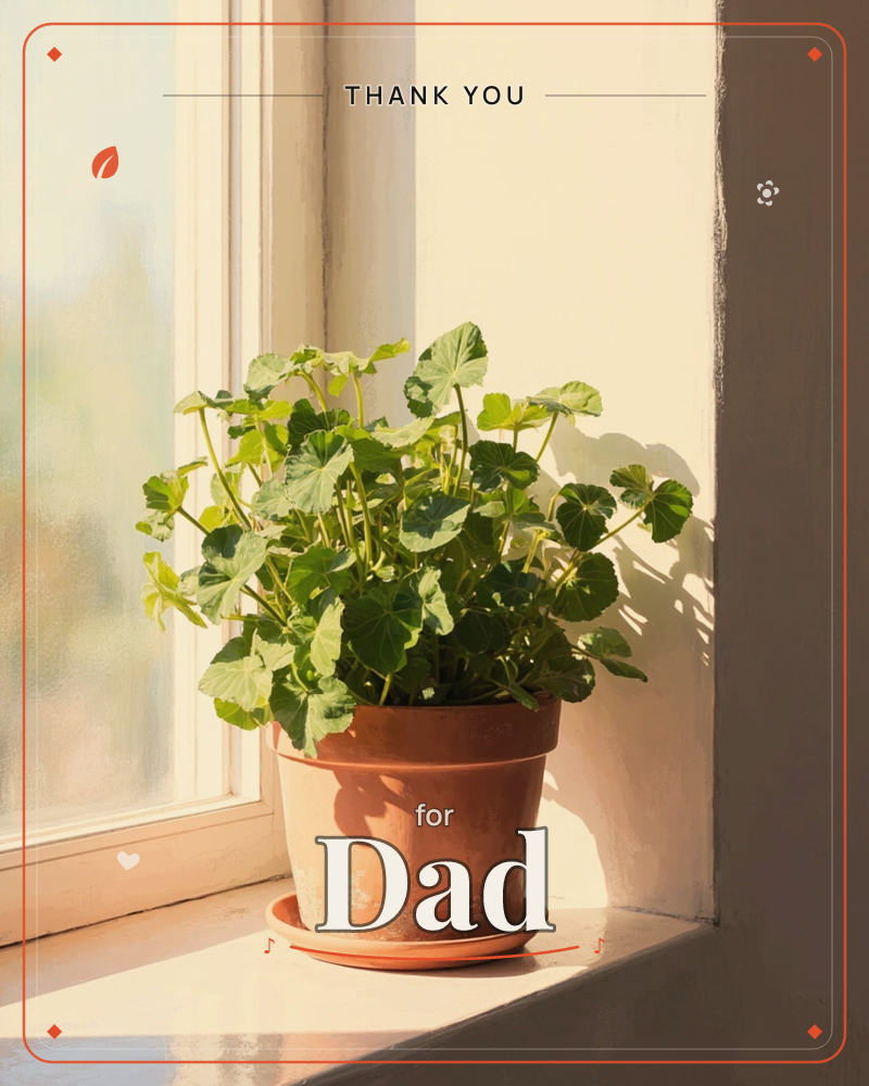 A terracotta pot of geranium leaves sits on a sunlit windowsill, its round leaves casting soft shadows across the wall behind, a thankyou e-card design