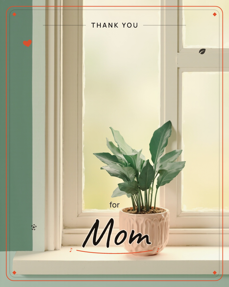A leafy potted plant sits on a white windowsill against a paned window, soft yellow-green light glowing through the glass, a thankyou e-card design
