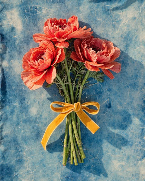 Valentine e-card design