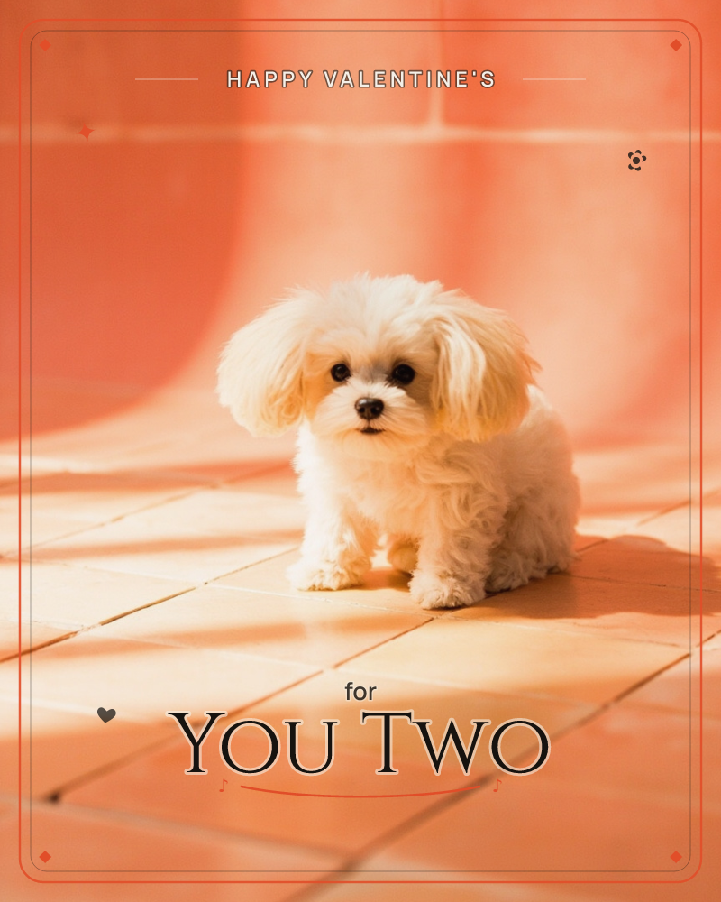 A small fluffy white puppy sits on terracotta tile flooring, backed by a warm coral curtain that curves softly behind it, a valentine e-card design