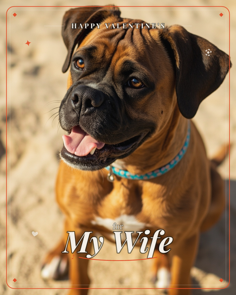 A boxer dog sits on pale sand, looking up into the camera with a happy, panting grin, a valentine e-card design
