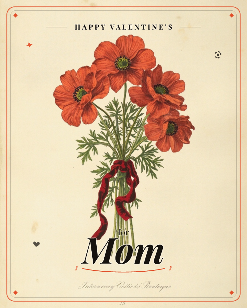 A vintage botanical illustration shows a bundle of five red anemones with dark centers, tied together with a striped red ribbon that trails downward in…, a valentine e-card design