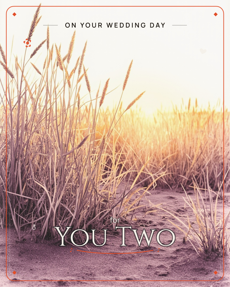A close-up of tall beach grass growing out of sandy dunes, backlit by a warm, hazy sunset that turns the seed heads gold, a wedding e-card design