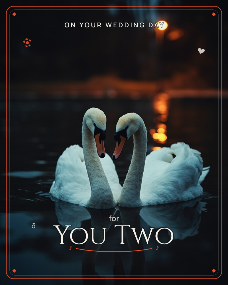 Two swans face each other on dark water at dusk, their curved necks forming a heart shape as their beaks nearly touch, a wedding e-card design