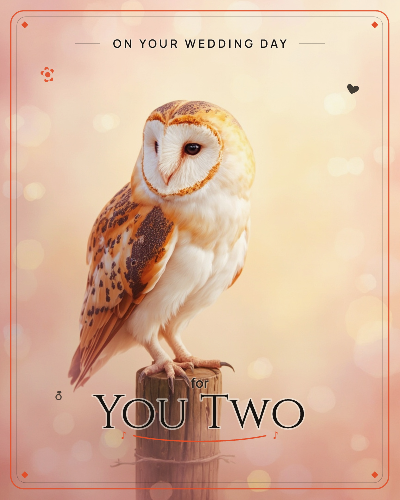 A barn owl perches on a weathered wooden post, its heart-shaped face turned slightly to gaze at the viewer with dark, watchful eyes, a wedding e-card design